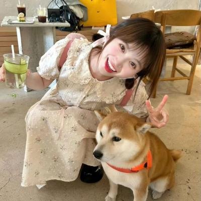 游侠儿